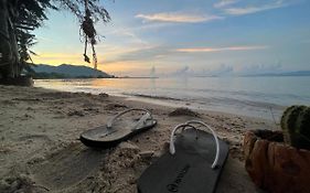 Phangan Dream Box