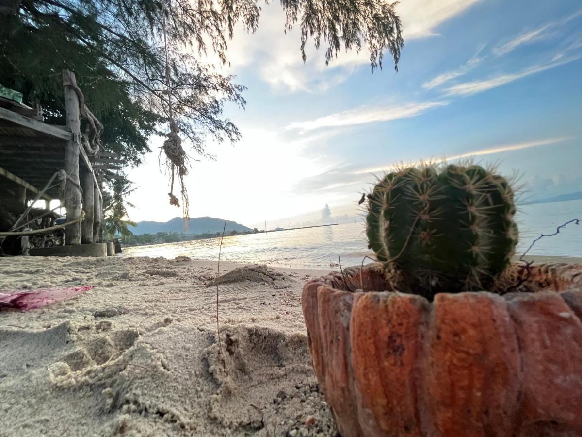 Phangan Dream Box Hotel Baan Tai Exterior photo